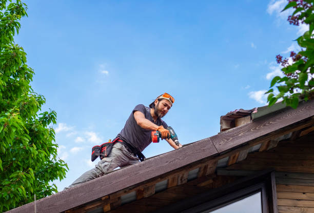 Best Steel Roofing  in Milliken, CO